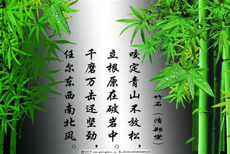 有關竹子的詩詞|关于竹子的古诗(共502首)